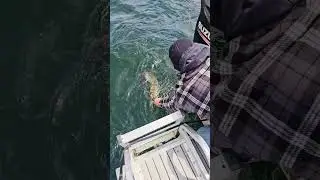 Blue Mesa Lake Trout Kickoff 2025! - Travis Graham GSO Fishing #laketrout #laketroutfishing