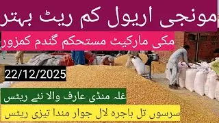 Makki munji rate today| گندم کا ریٹ 2025| sarso till bajra| ghalla Mandi rate today