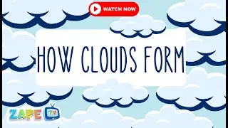 The Cloud Song for Kids | How Clouds Are Made | Fun & Easy Science Rhyme 🌈✨| Zape TV