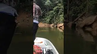 Big carp hit rubber worm | Fishing on the Boat | Fishing Tricks #shorts [#988]