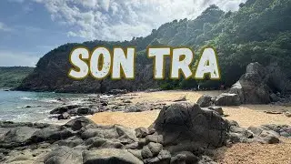 Walkabout Son Tra Peninsula | Da Nang, Vietnam
