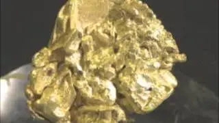 The Colorado Gold Rush