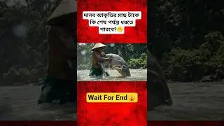 Unbelievable! Catching a Giant Mekong Catfish in Wild Jungle River 🌊🐟 #shorts