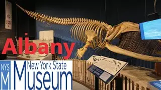What To Expect- Walk Thru Tour New York State Museum Albany New York Metropolis Hall