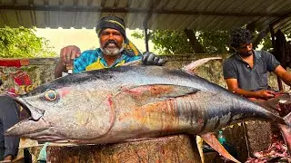 KASIMEDU 🔥CHEETAH DURAI | $45 BIG TUNA FISH 🐟 MASS CUTTING SKILLS | N M FISH CUTTING 🔪