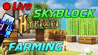 Farming - Minecraft Hypixel Skyblock Relaxing Live Stream