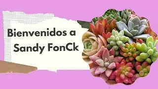 Bienvenidos a mi canal| &iquest;Qu&eacute; puedes encontrar en mi canal, Sandy FonCk?