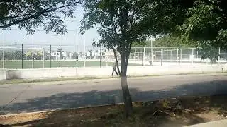 Isla Raza