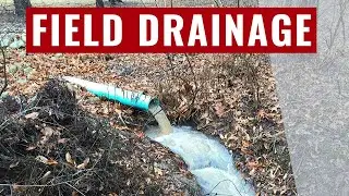 Does Farm Field Drainage Tile Really Work?