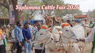 Saplamma jatre 2026 Please do Watch'Like Share N Subscribe 🙏 #yt #ytvideos #hallikarheaven #viral 
