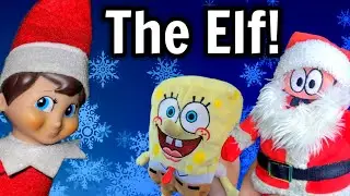 Patrick's Adventures: S3, E12: The Elf!