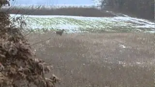 Late Season Deer Hunt MUZZLELOADER