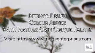 Interior Design Colour Advice With Natures Own Colour Palette
