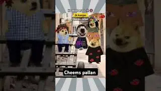 2k kunjans🤣🤣🤣 #memes #cheem  #cheemay #cheemsarmy #funny #comedy #gendercomparison #cheemstamizh
