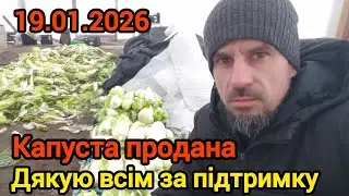 Продаж пекінської капусти.