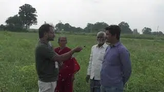 Organic Groundnut Farming High Results. |Kadiri lepakshi 1812  Groundnut