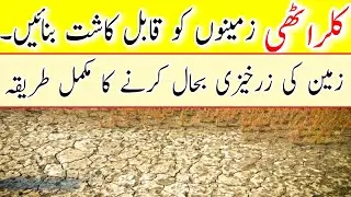 Reclamation of Salt Affected Soils | Salinity Control & Soil Improvement for Higher Crop Yield