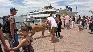 Cash 2.0 visiting Marina del Rey 2 of 3 72823