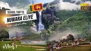 ස්කෝලෙන් ගිය නුවරඑළි ගමන |  Taxila Central College Annual Trip to Nuawara Eliya 2022#NuawaraEliya