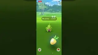 Shiny Larvitar Hunting ~ Larvitar Community Day 2023 (Pok&eacute;mon Go)