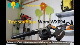 [Test] - Souffleur Worx WX094E