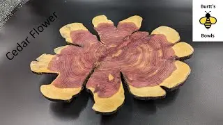 Eastern Red Cedar Flower Platter