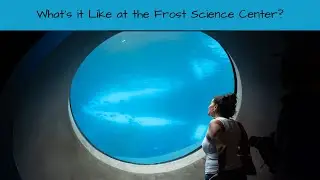 What's it Like at the Frost Science Center in Miami?
