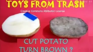 Cut Potato turns Brown | Malayalam