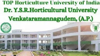 Dr. YSRHU IS HEADING TOWARDS DIGITAL EDUCATION// #DRYSRHU #university #treanding1
