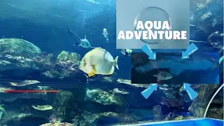 BEST AQUARIUM TO VISIT IN UK//VISIT THE AQUARIUM//KIKESANYA