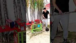 Easy Sugarcane Peeling Process Using Machine #shorts
