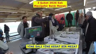 3 Şubat 2026 Salı. MAVİŞEHİR'DE KESAT BİR MEZAT GÜNÜ. AMA YİNE DE BALIKLAR SATILDI.