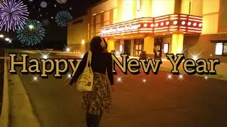 I Vlogged My New Year's ENTIRELY with a Camcorder