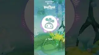 Melobot - The Last Song