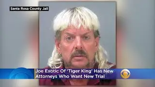 Joe Exotic Of 'Tiger King' Has New Attorneys Who Want New Trial