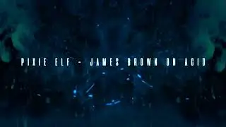 Pixie Elf - James Brown On Acid