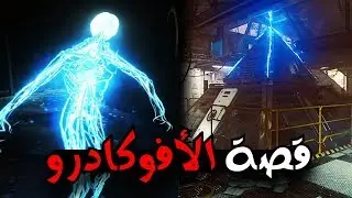 قصة الأفوكادرو⚡
