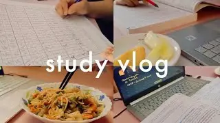 study vlog ~ be productive with me! ; indian 11th grader