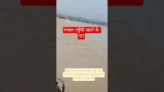 chambal river flood| morena|bhind|kota|#chambal #floods #rescue chambal me aayi bhyanak badh