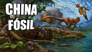 🐾BIOTA de JEHOL Los &eacute;picos f&oacute;siles de China 🦖 #Dinosaurios emplumados #Yuanchuavis