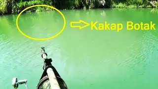 Woow Menemb4k Ikan Kakap Monster Lagi.....