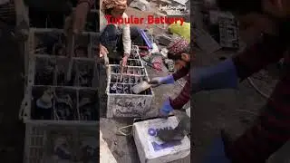 Dead Tall Tubular Battery Dismantling For Recycling. #tubularbatteries #leadacidbattery #drybattery