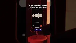 liberal vs. conservative BRAIN biology 😳🧠