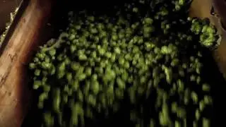 The Beerman Show s1e2 Hop Farm Tour