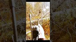 Hunting a big moose 🫎 in winter #moose #hunting #deer #chasse #caccia #bowhunting