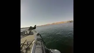 Cruise Around Bullfrog Marina At Lake Powell #lakepowell #boating #houseboat 
