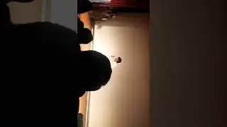 Stand up comedy in SBI Training | SBI TRAINING INCENTIVES 