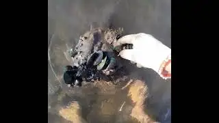 Ra biển là có cái ăn