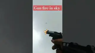 😅  Gun fire 🔥on 🐦, Comedy 😂🤣#shorts