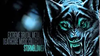 ► Extreme Brutal Metal/Deathcore Music Collection VI [Torment.] ☠ 1 Hour ☠